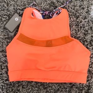 Chestee Brittany Sz 6